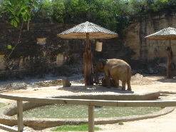 2006-04-08 14-21-05.JPG